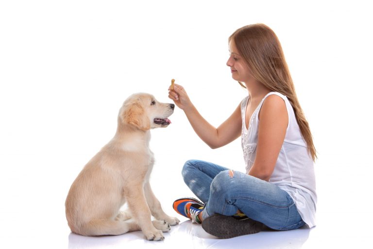 Yavru Köpek Nasıl Eğitilir? kopekegitimmerkezi.gen.tr